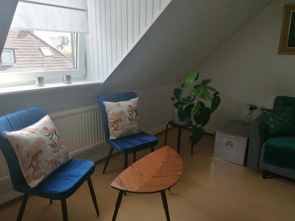 Chez Carine Apartment Schiltigheim Ngoại thất bức ảnh