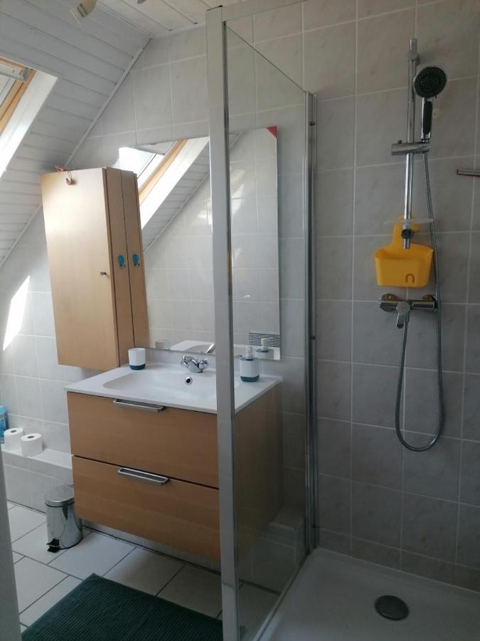 Chez Carine Apartment Schiltigheim Ngoại thất bức ảnh