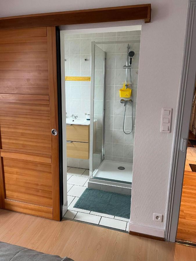 Chez Carine Apartment Schiltigheim Ngoại thất bức ảnh