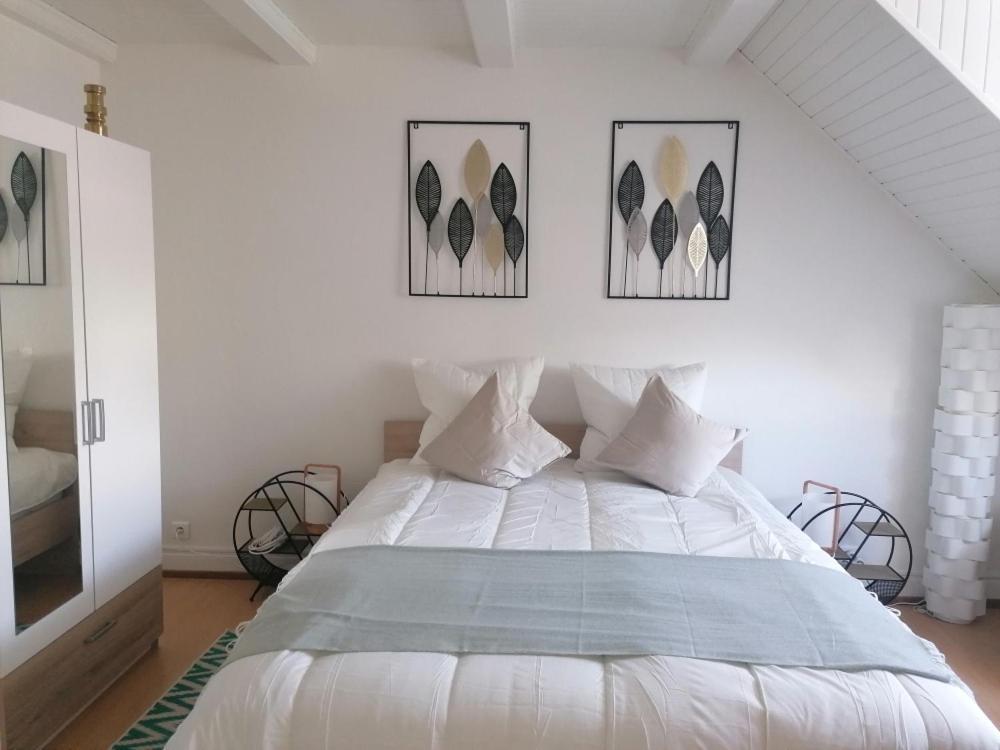 Chez Carine Apartment Schiltigheim Ngoại thất bức ảnh